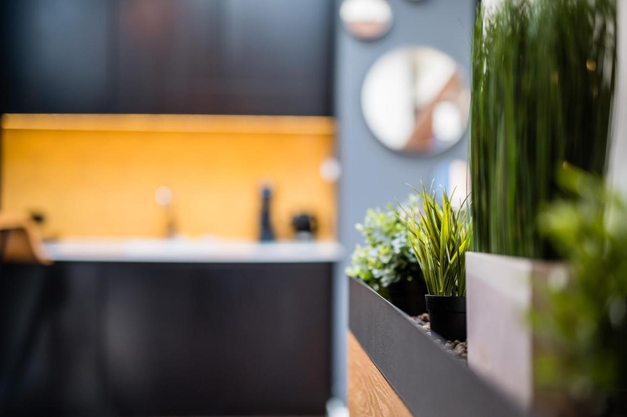Wegierska Luxury Loft Wawelofts Appartement Krakau Buitenkant foto